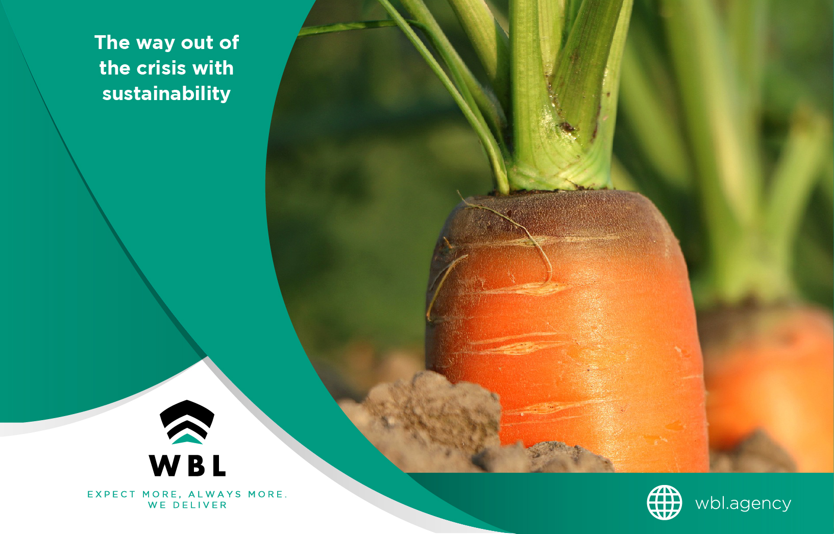 WBL Agency. Carrot