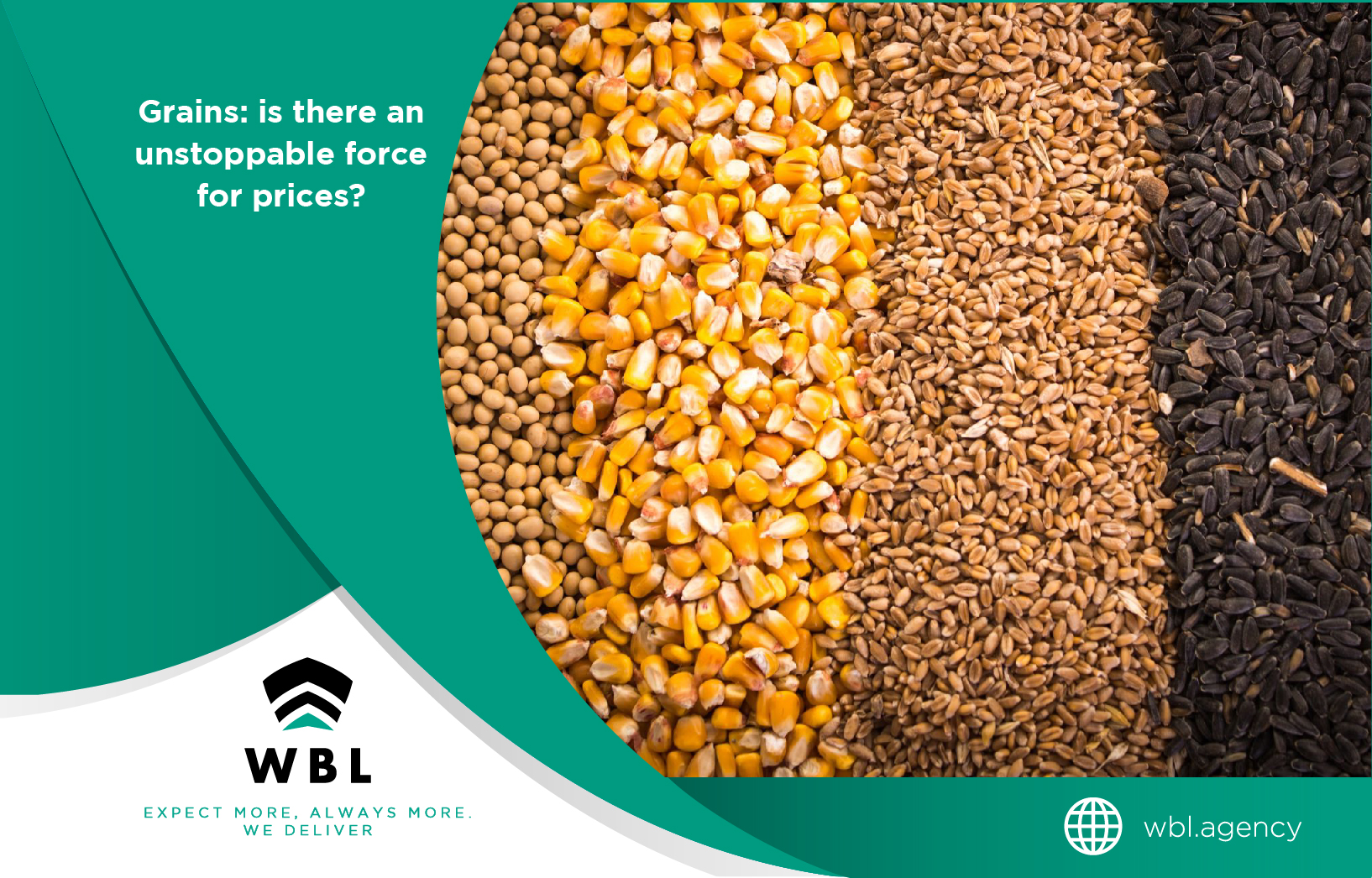 grains soybean maize