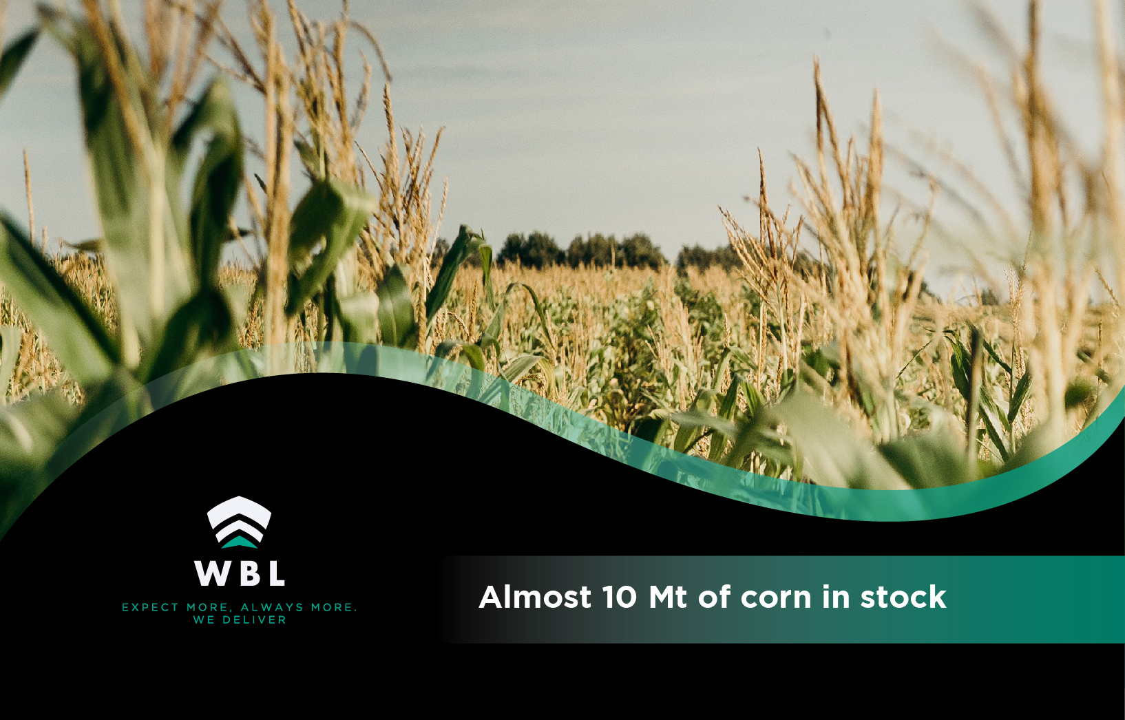 Maize